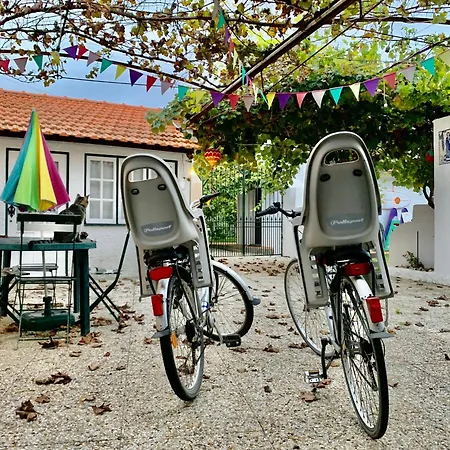 Casa do Paço Aveiro HolidayHome Extérieur photo
