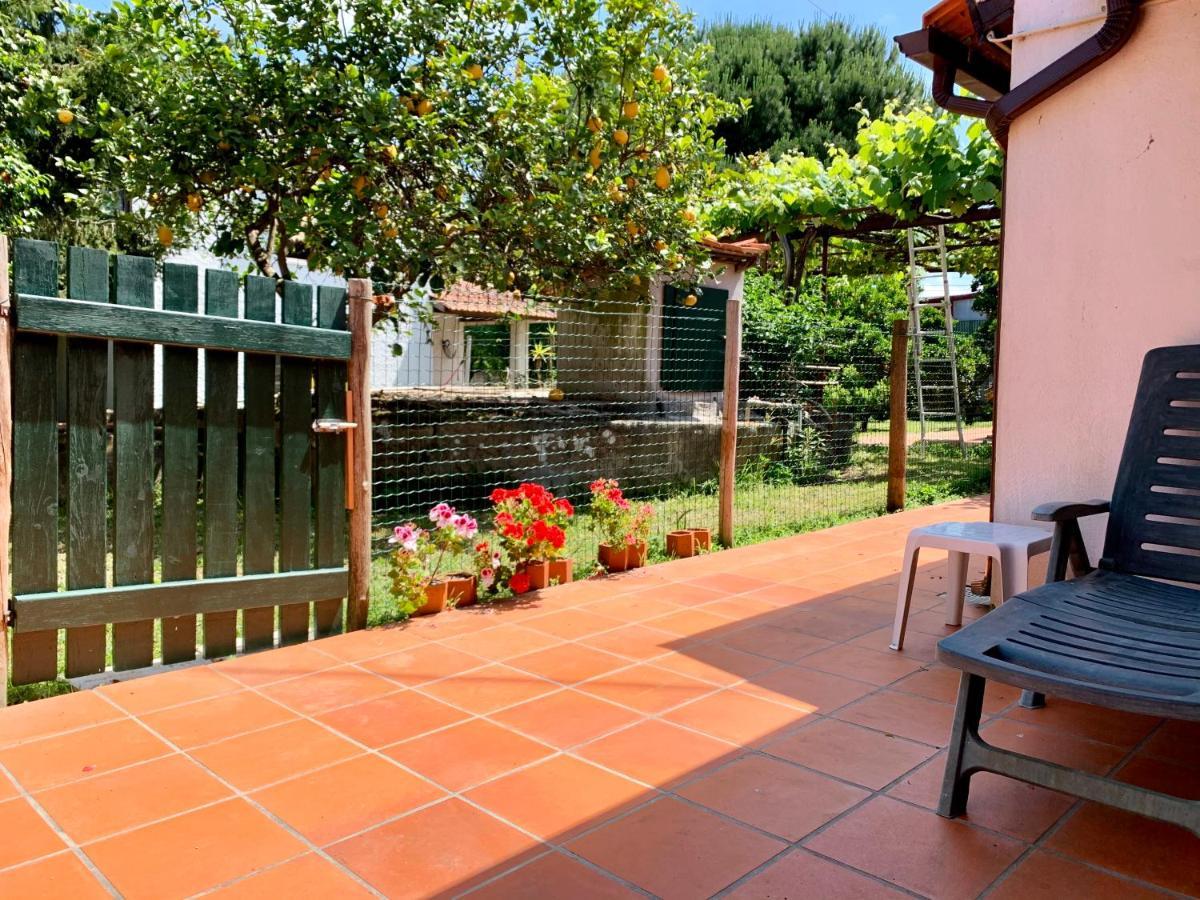 Casa Do Paço Hébergement de vacances